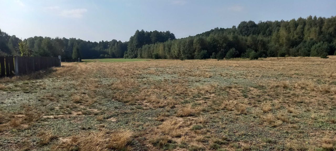 Działka budowlana Łysobyki. Zdjęcie 6