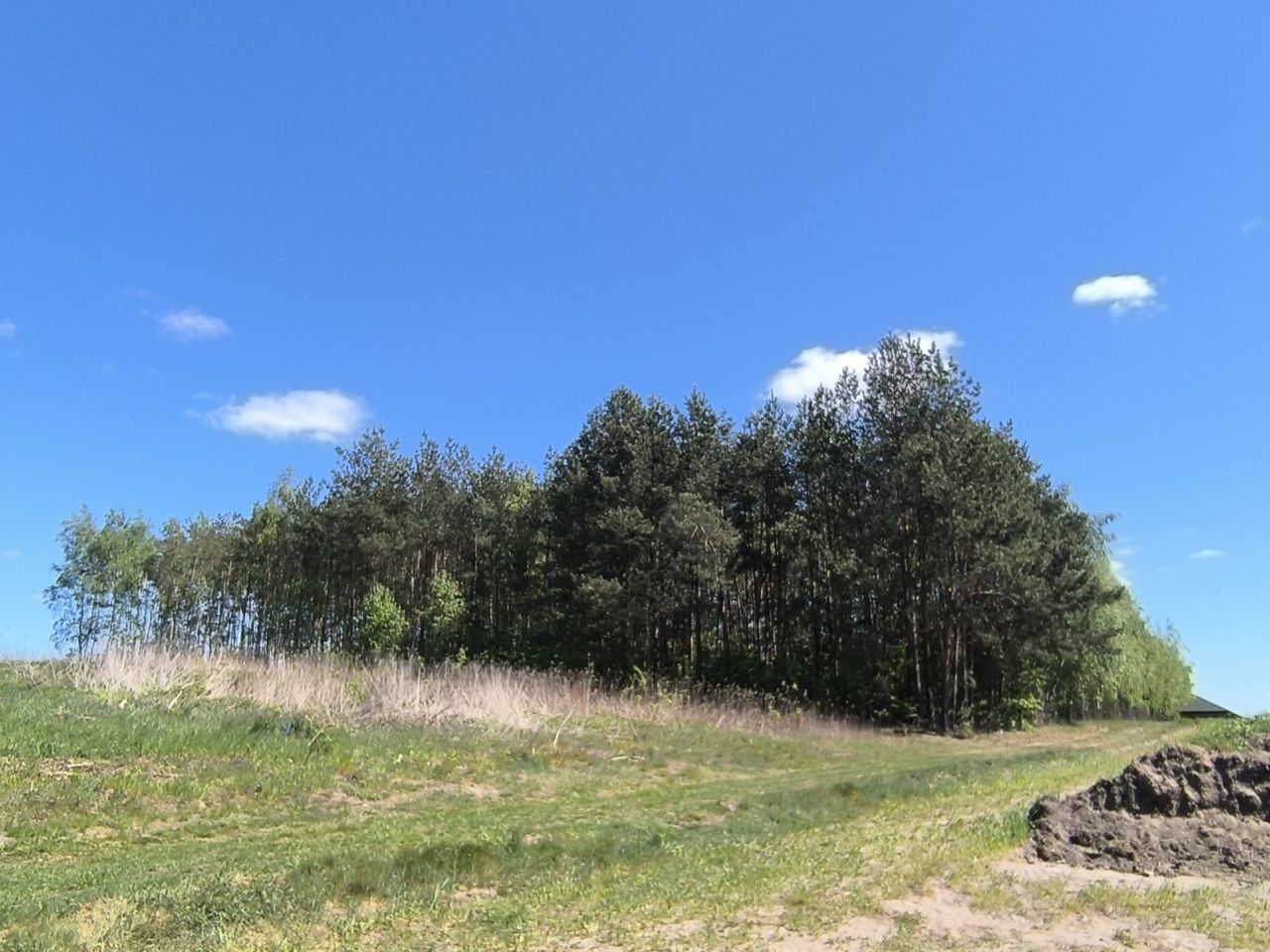 Działka budowlana Bogucin. Zdjęcie 4