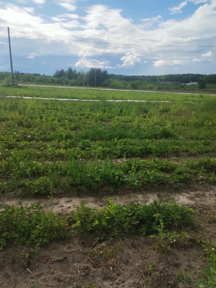 Działka rolna Wola Worowska. Zdjęcie 5