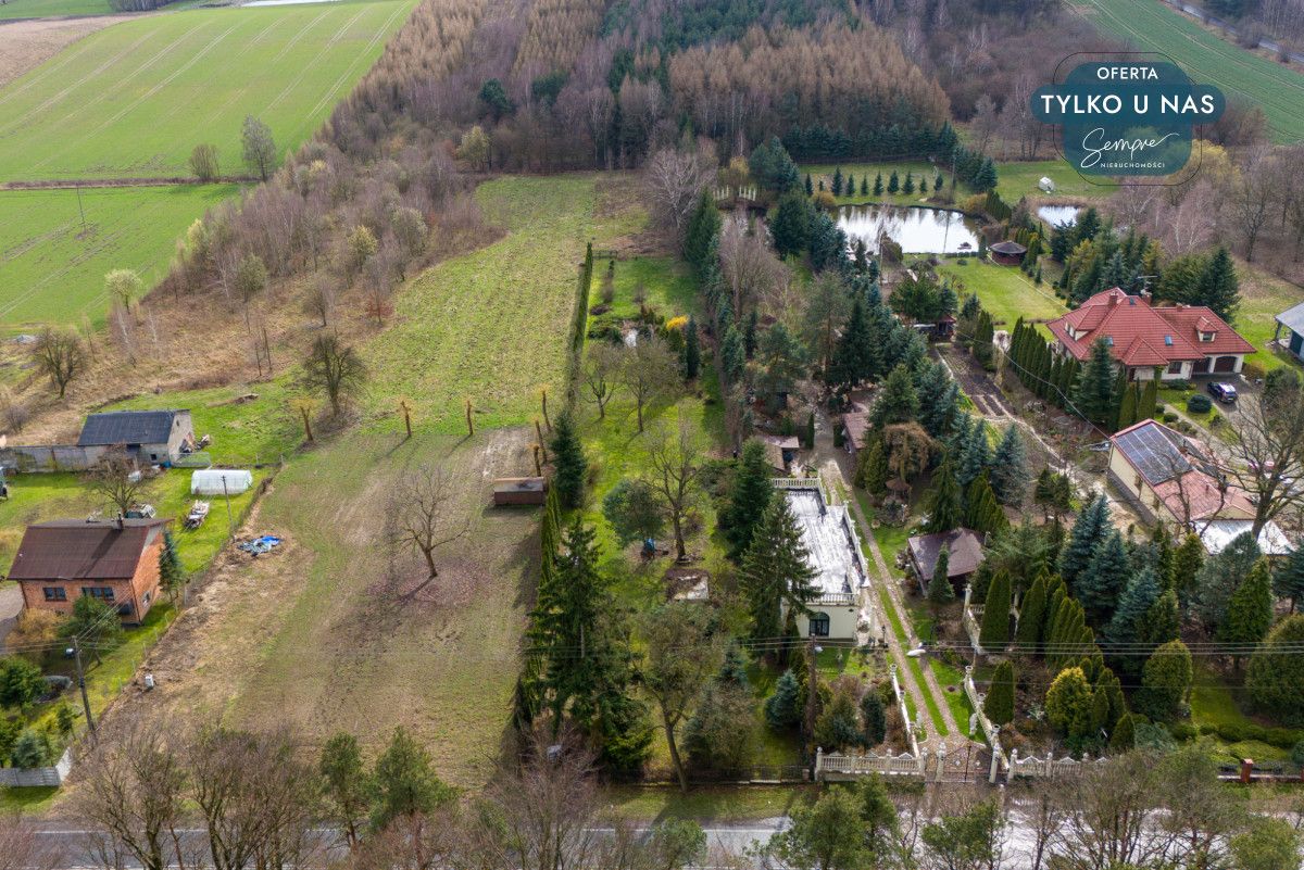 Działka inwestycyjna Paprotnia. Zdjęcie 5