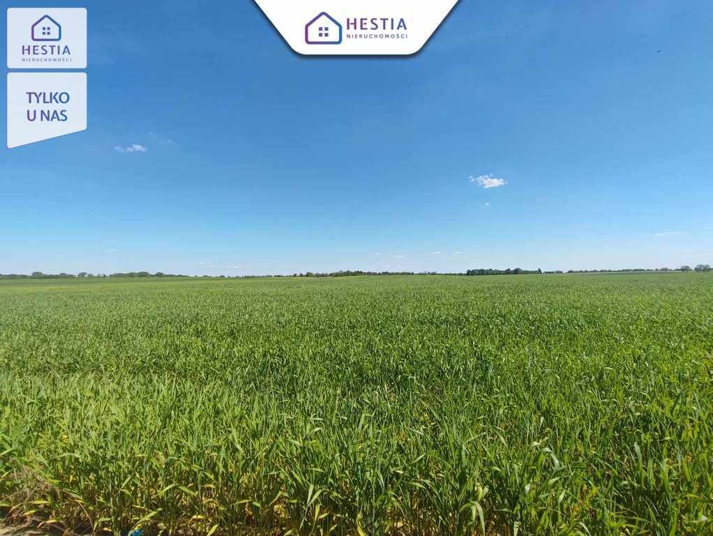 Działka budowlana Grabowo. Zdjęcie 3