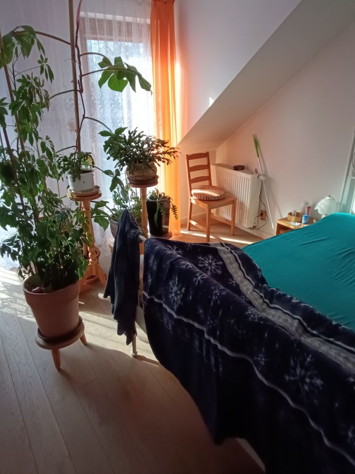 dom szeregowy, 3 pokoje Grodzisk Mazowiecki, ul. Sienna. Zdjęcie 12