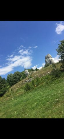 Działka budowlana Ryczów. Zdjęcie 1