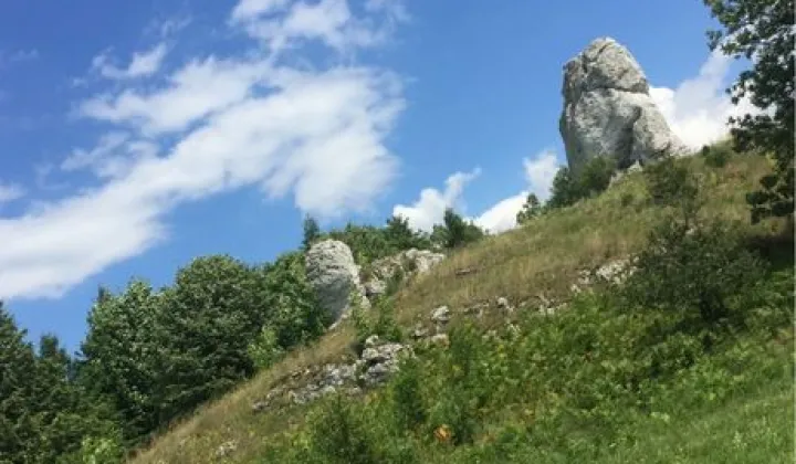 Działka budowlana Ryczów