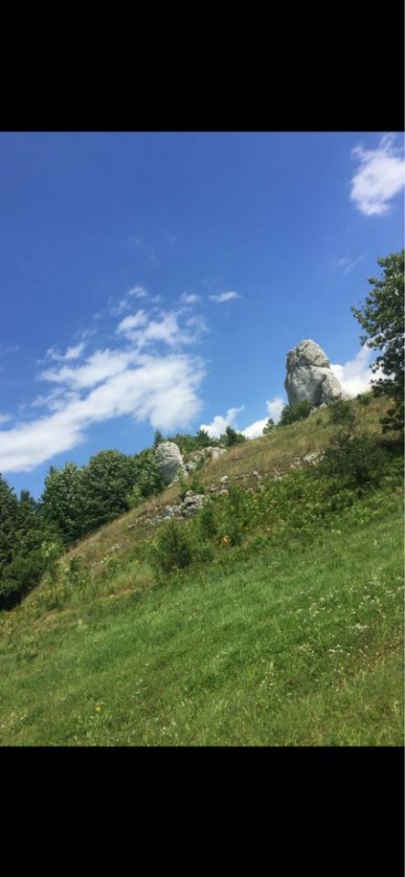 Działka budowlana Ryczów. Zdjęcie 1