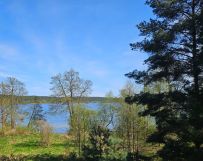 Działka rolna Swornegacie. Zdjęcie 1