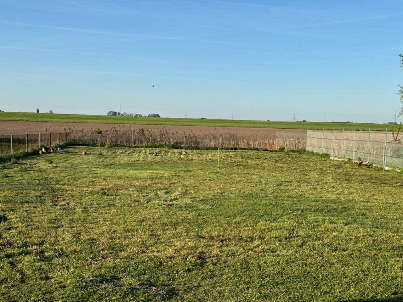 dom wolnostojący, 5 pokoi Kokorzyn, Długa. Zdjęcie 2