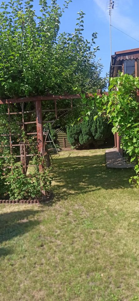 Działka rod Jagodowo osada leśna, ul. Letnia. Zdjęcie 3