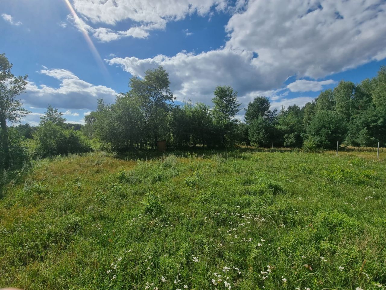 Działka inna Rokitnica. Zdjęcie 5