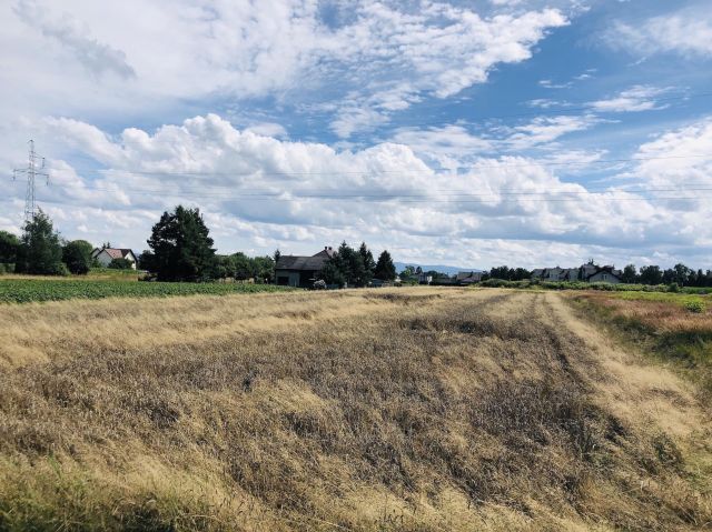 Działka budowlana Pszczyna, ul. Piechurów. Zdjęcie 1