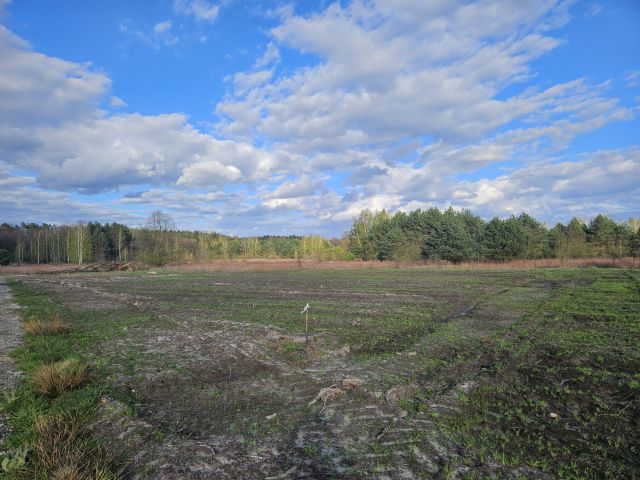 Działka budowlana Pysznica, ul. Poziomkowa. Zdjęcie 1