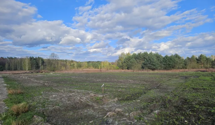 Działka budowlana Pysznica, ul. Poziomkowa