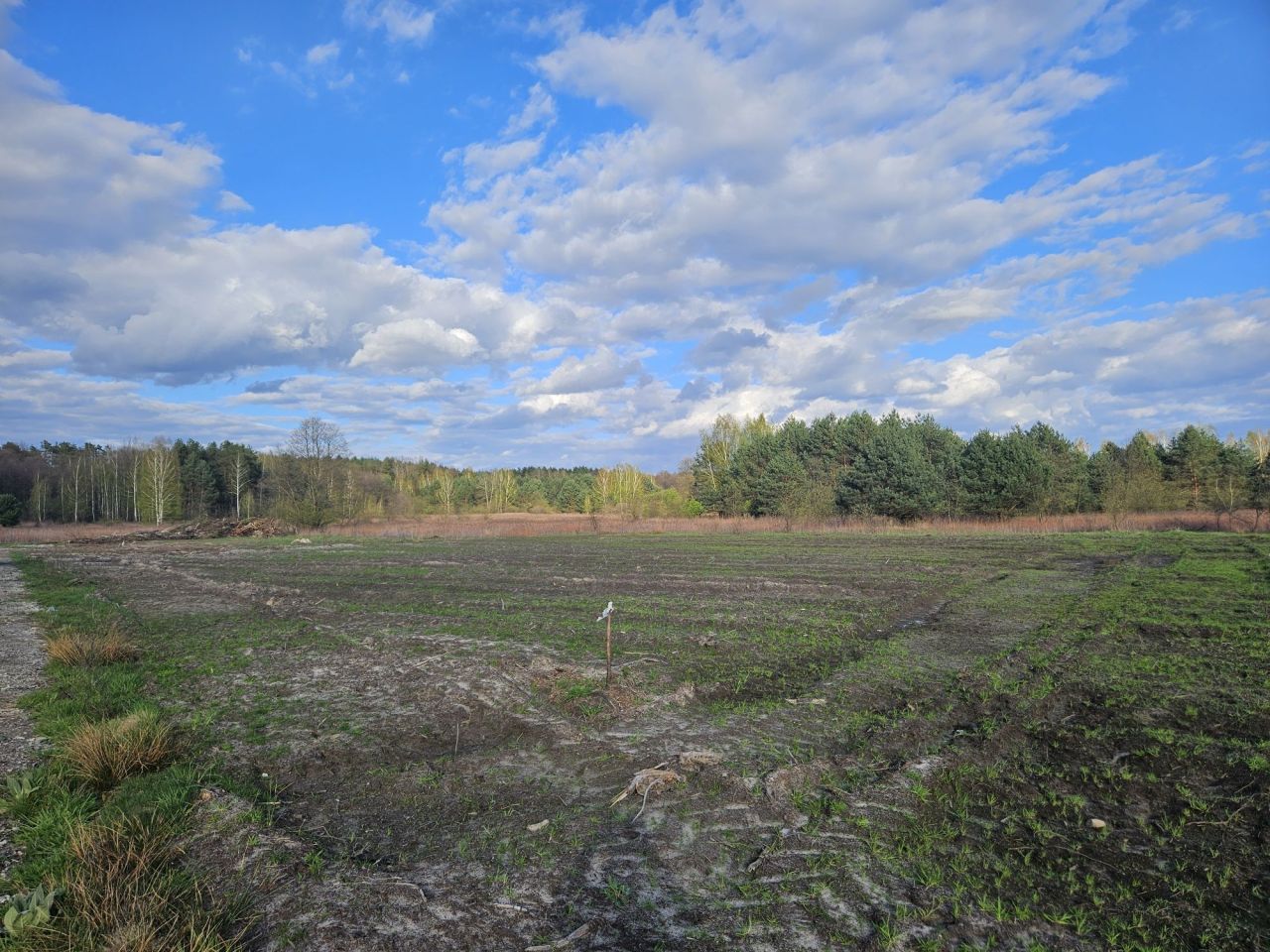Działka budowlana Pysznica, ul. Poziomkowa