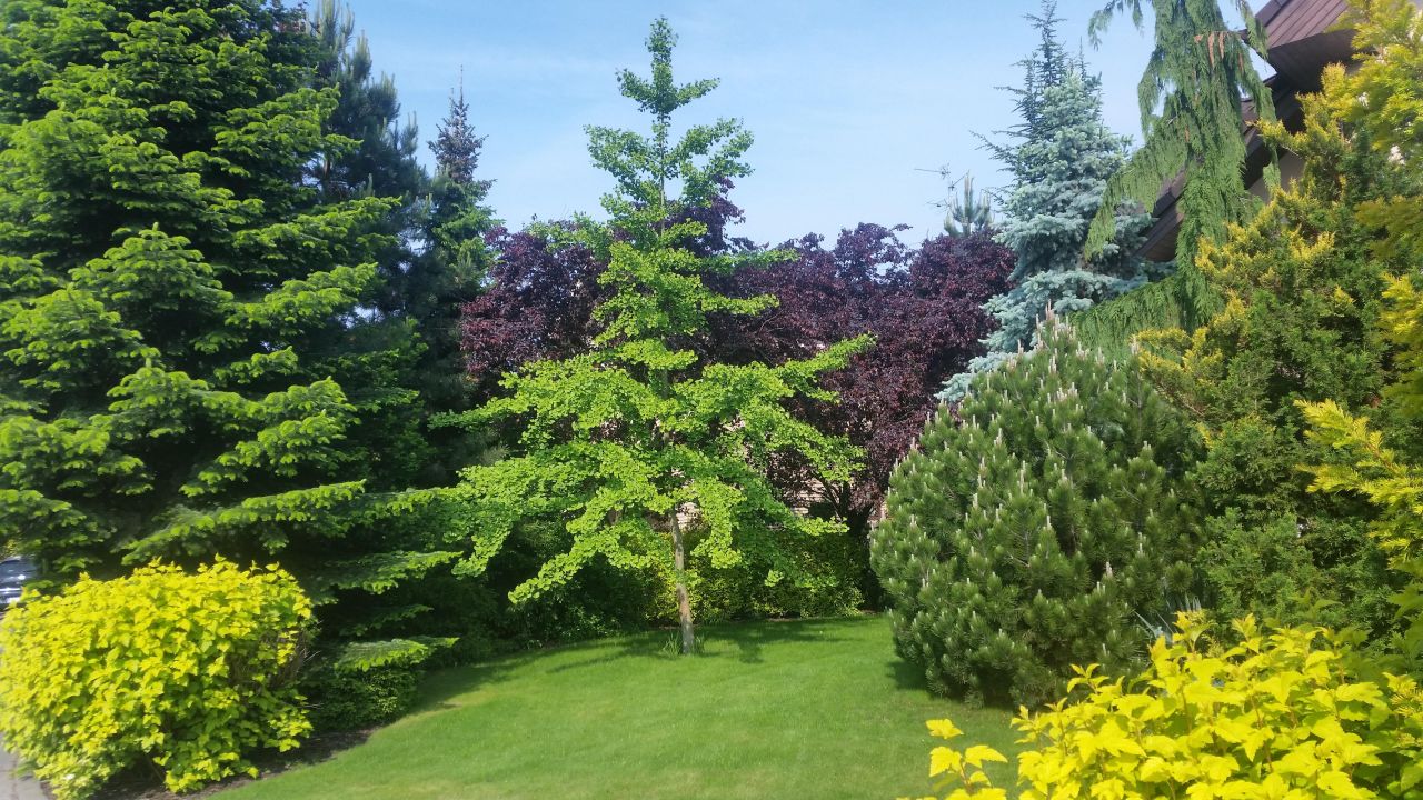 dom wolnostojący, 7 pokoi Chyby, ul. Cisowa. Zdjęcie 19