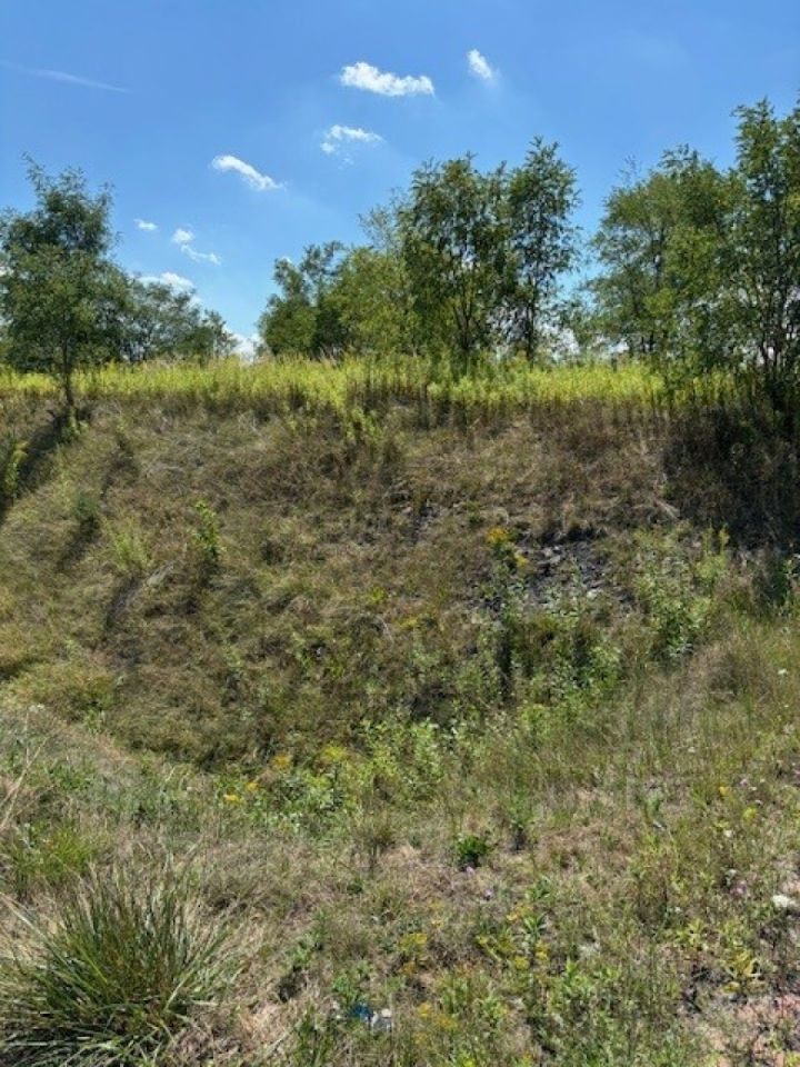 Działka inna Ruda Śląska. Zdjęcie 5