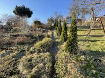 Działka rod Szczecin Golęcino, ul. Pokoju. Zdjęcie 2