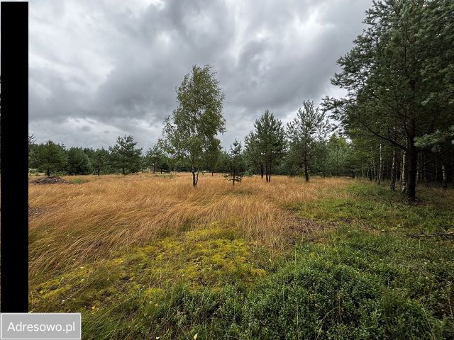 Działka budowlana Cieciorka. Zdjęcie 1