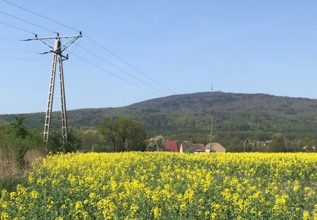 Działka budowlana Księginice Małe. Zdjęcie 1