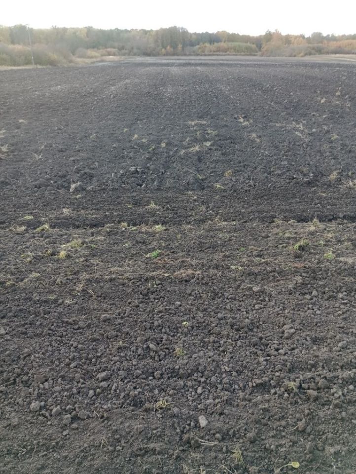 Działka rolna Niewirków. Zdjęcie 3