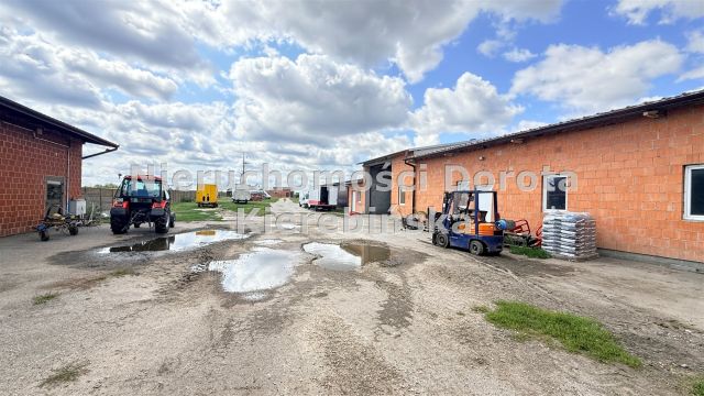 Lokal Łazisko. Zdjęcie 4