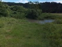 Działka rolna Andrzejówka. Zdjęcie 4