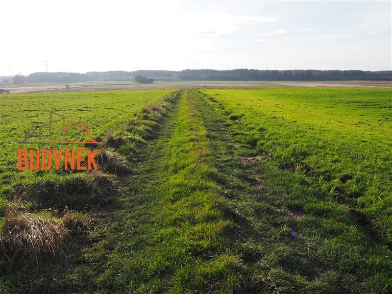 Działka rolna Krupy. Zdjęcie 5