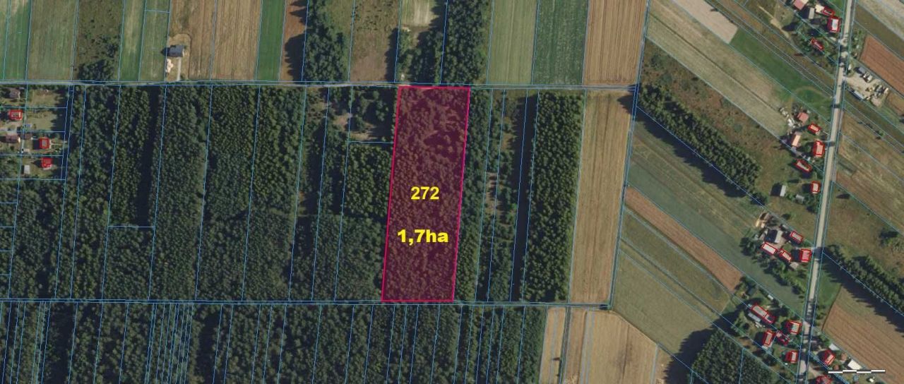 Działka rolna Zarzęcin. Zdjęcie 2