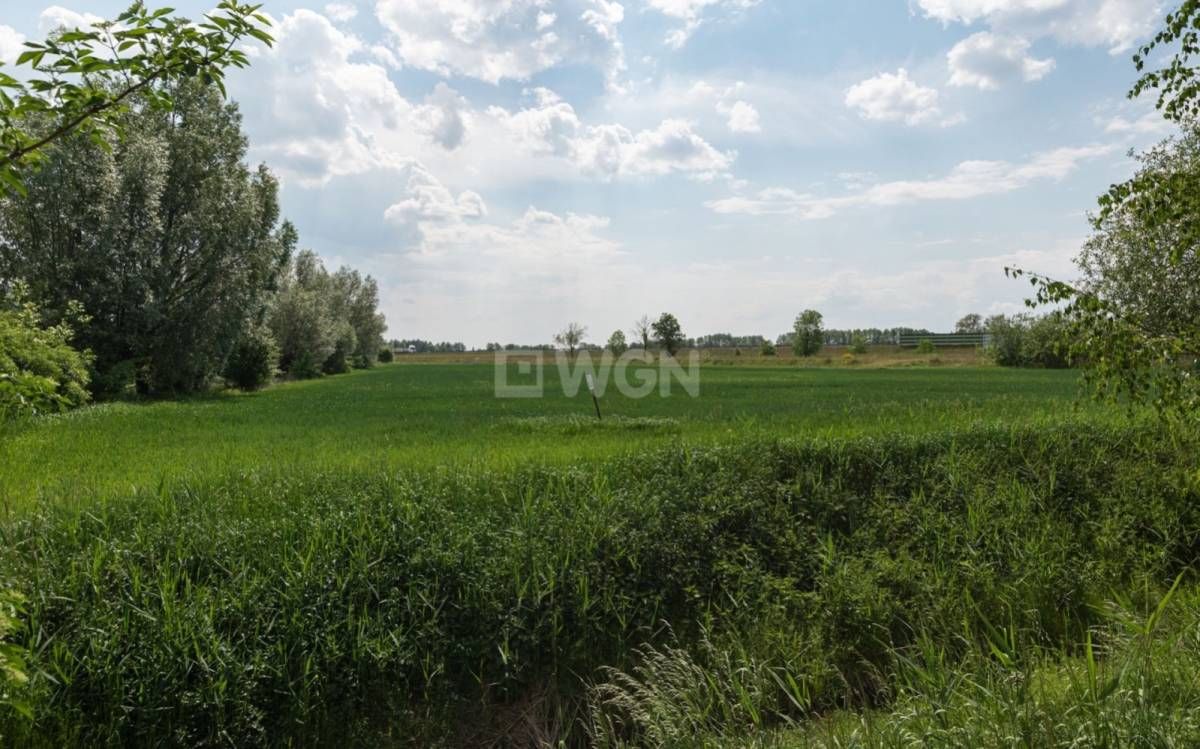 Działka inwestycyjna Elbląg Zawodzie, ul. Nizinna. Zdjęcie 14