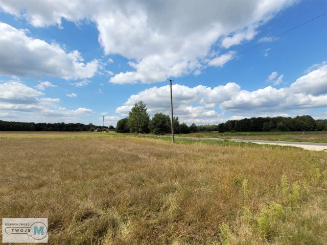 Działka rekreacyjna Stanowiska. Zdjęcie 4