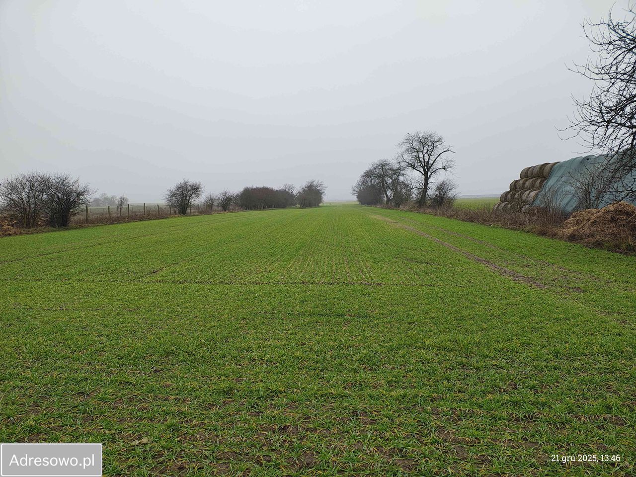 Działka rolna Nowy Lubosz. Zdjęcie 6