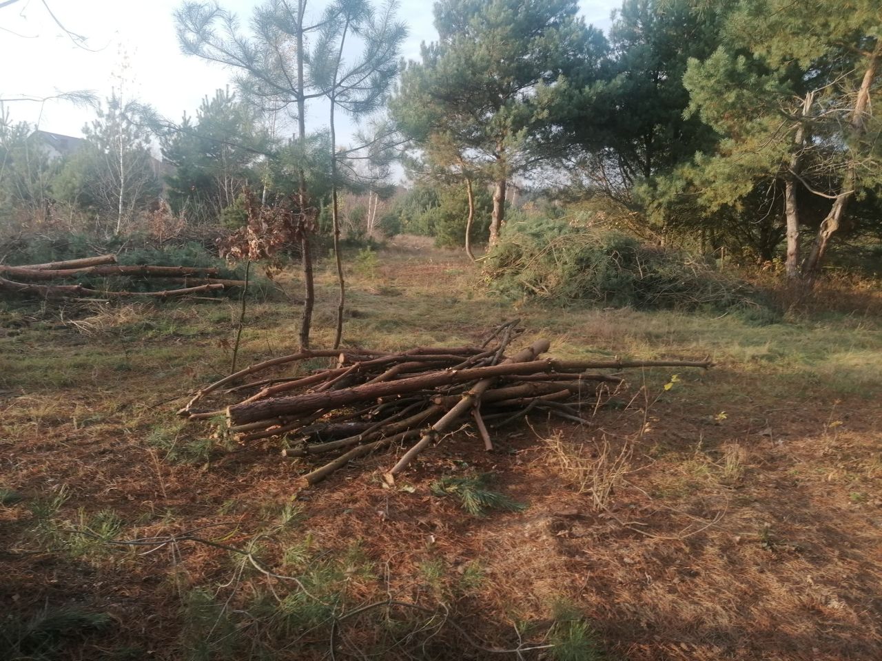 Działka rolna Kępina. Zdjęcie 12