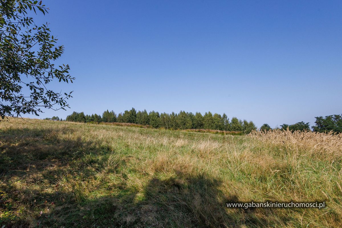 Działka budowlana Słona. Zdjęcie 13