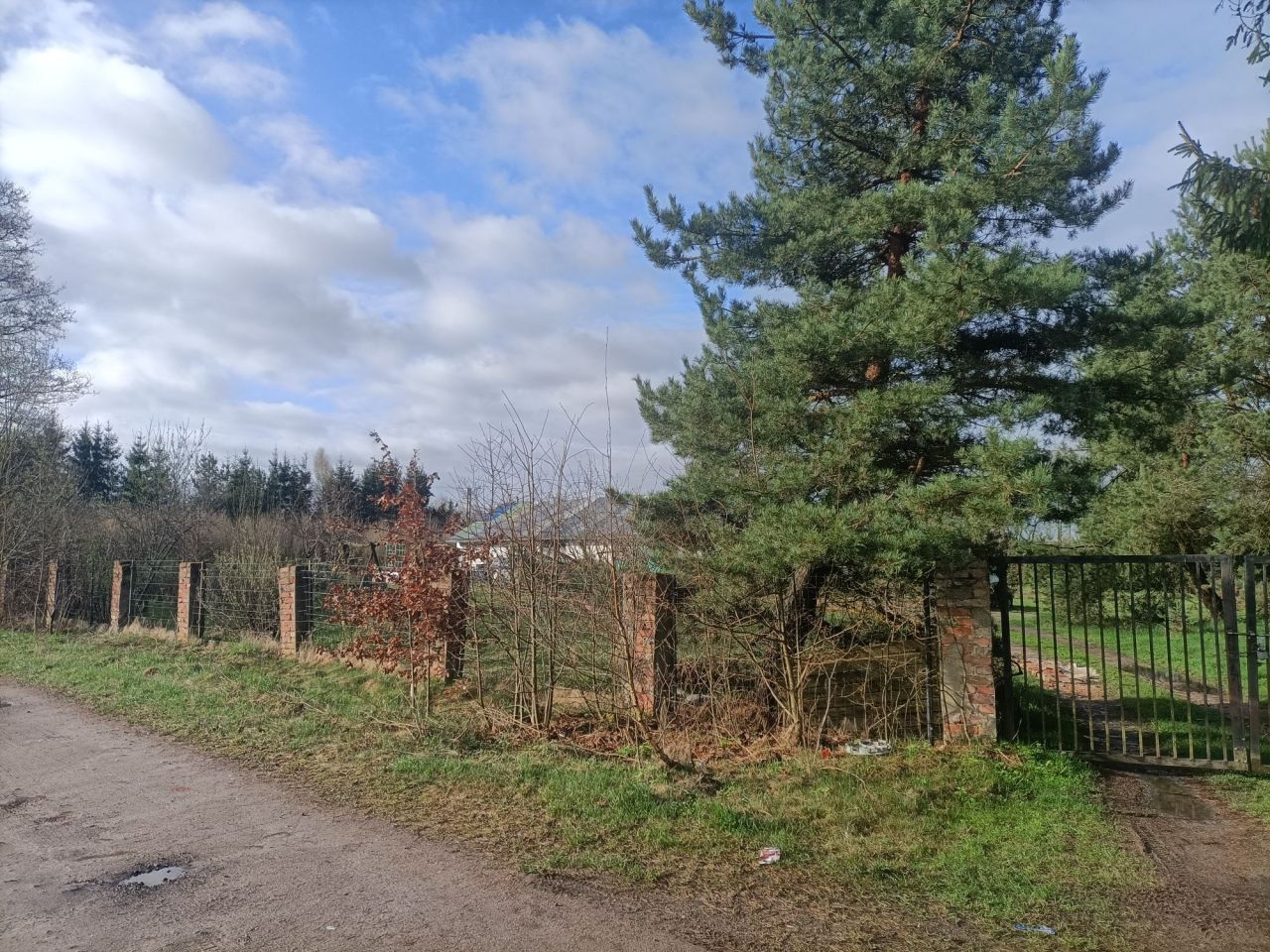 Działka siedliskowa Milejewo. Zdjęcie 7