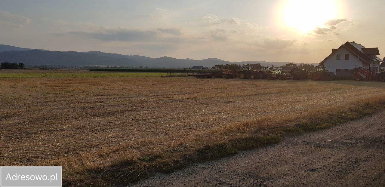 Działka siedliskowa Pieszyce Bratoszów. Zdjęcie 15