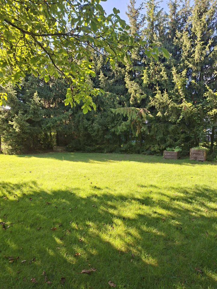 dom wolnostojący, 5 pokoi Mława Mława-Wólka, ul. Batalionów Chłopskich. Zdjęcie 18