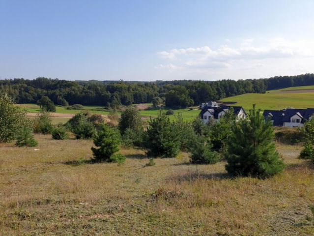 Działka budowlana Luzino. Zdjęcie 1