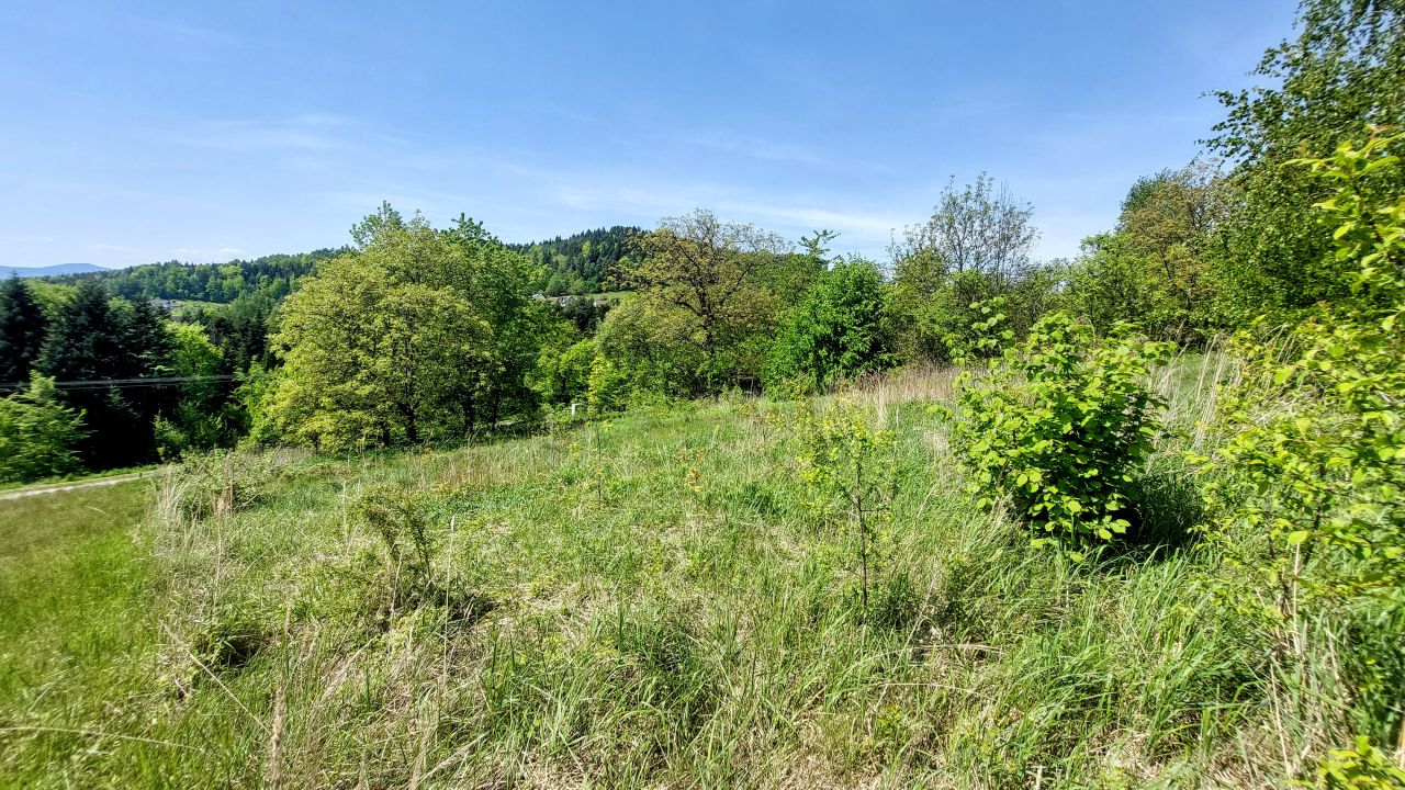 Działka budowlana Tropie Chabalina. Zdjęcie 2