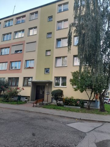 Mieszkanie 2-pokojowe Zduńska Wola Osmolin, ul. Osmolińska. Zdjęcie 1