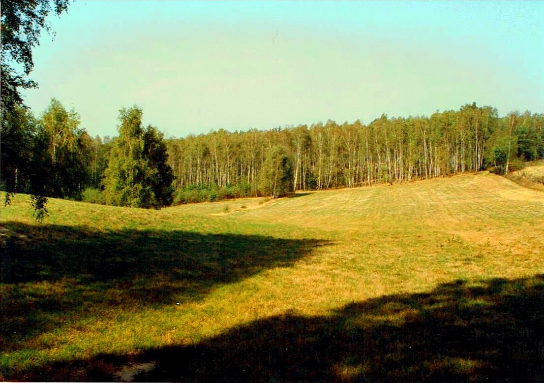 Działka rolno-budowlana Smardzew. Zdjęcie 9