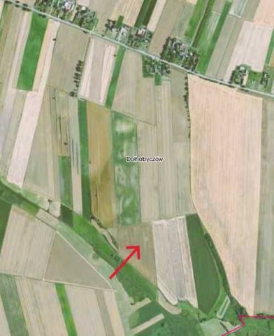Działka rolna Dołhobyczów. Zdjęcie 1