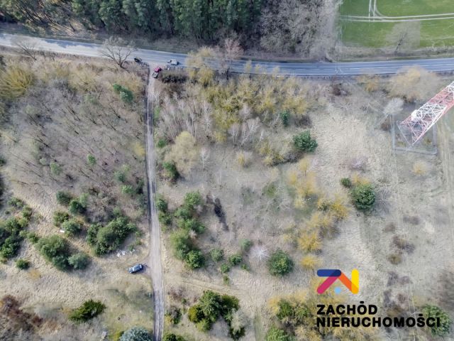 Działka inwestycyjna Bojadła, ul. Sulechowska. Zdjęcie 12