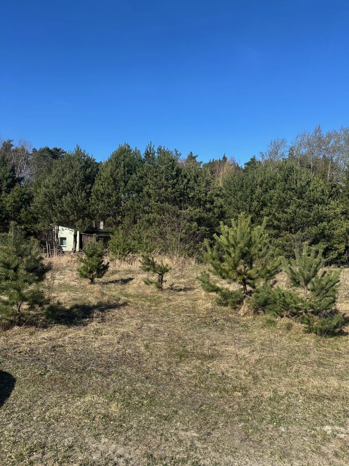 Działka budowlana Bądzyń, ul. ks. Brzóski. Zdjęcie 9