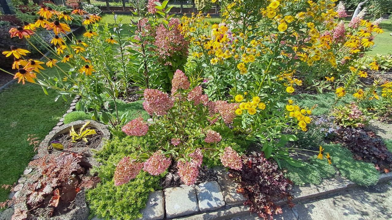 Działka rod Chorzów Centrum, ul. Nomiarki. Zdjęcie 8