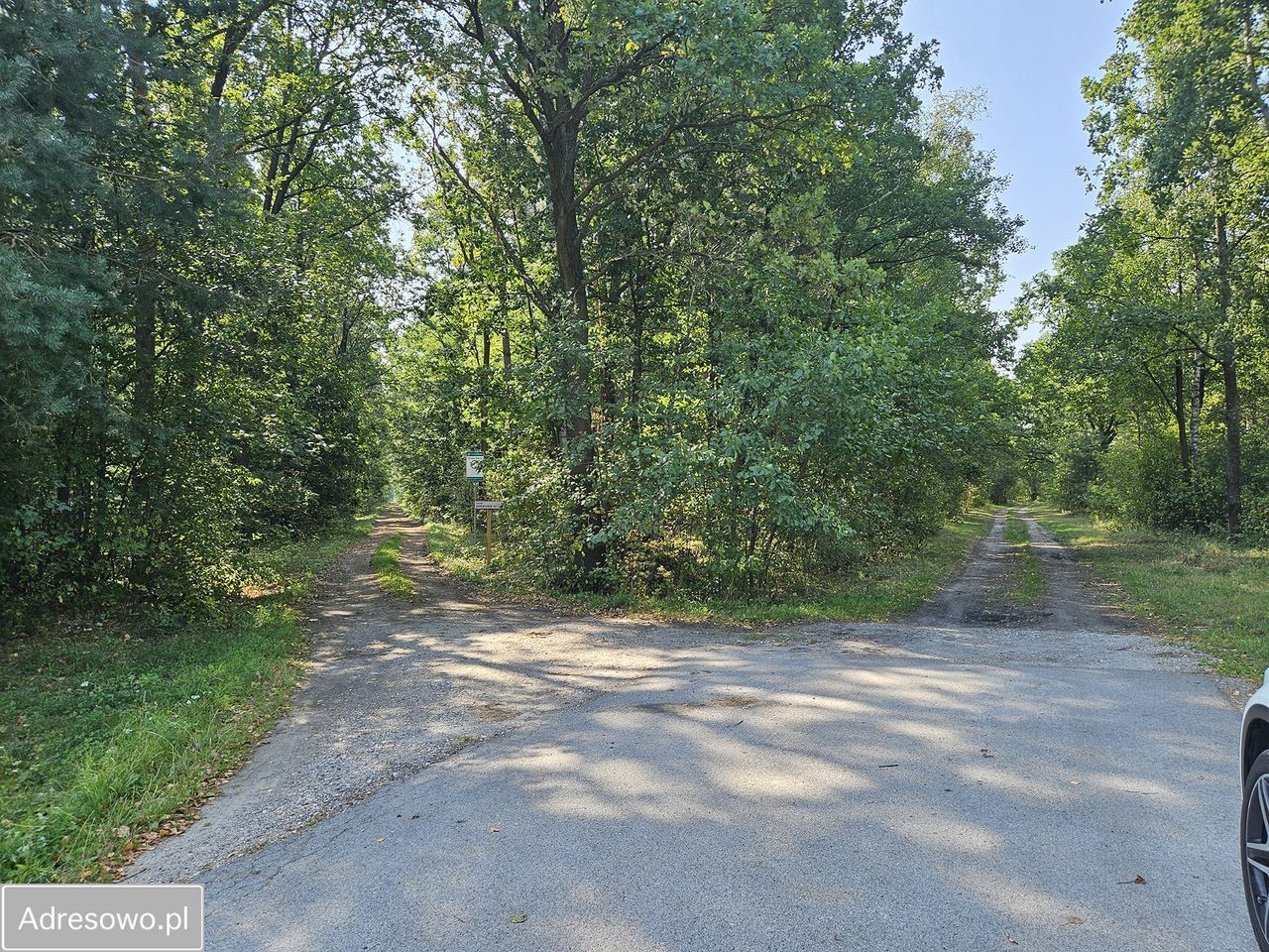 Działka budowlana Miedniewice. Zdjęcie 3