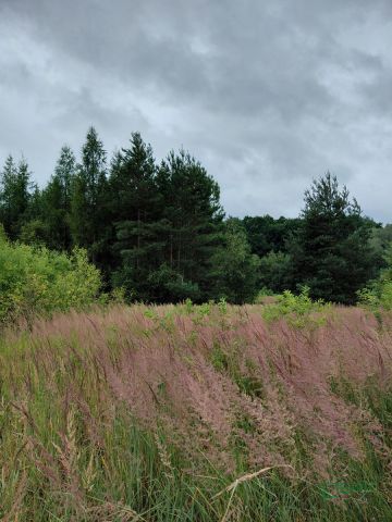 Działka inna Mysłowice, ul. Zacisze. Zdjęcie 7