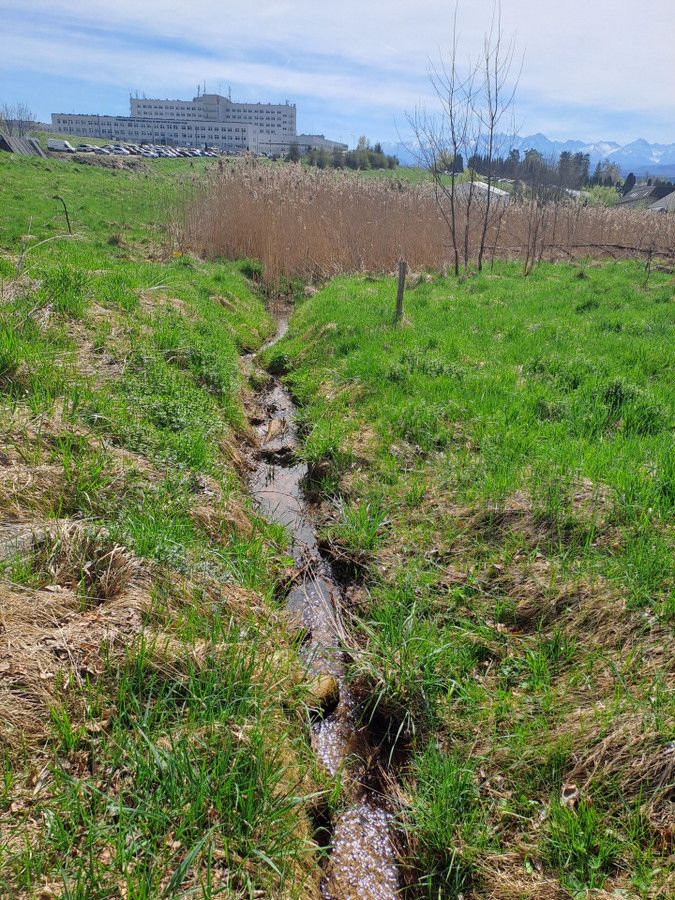 Działka budowlana Nowy Targ, ul. Ustronie. Zdjęcie 8
