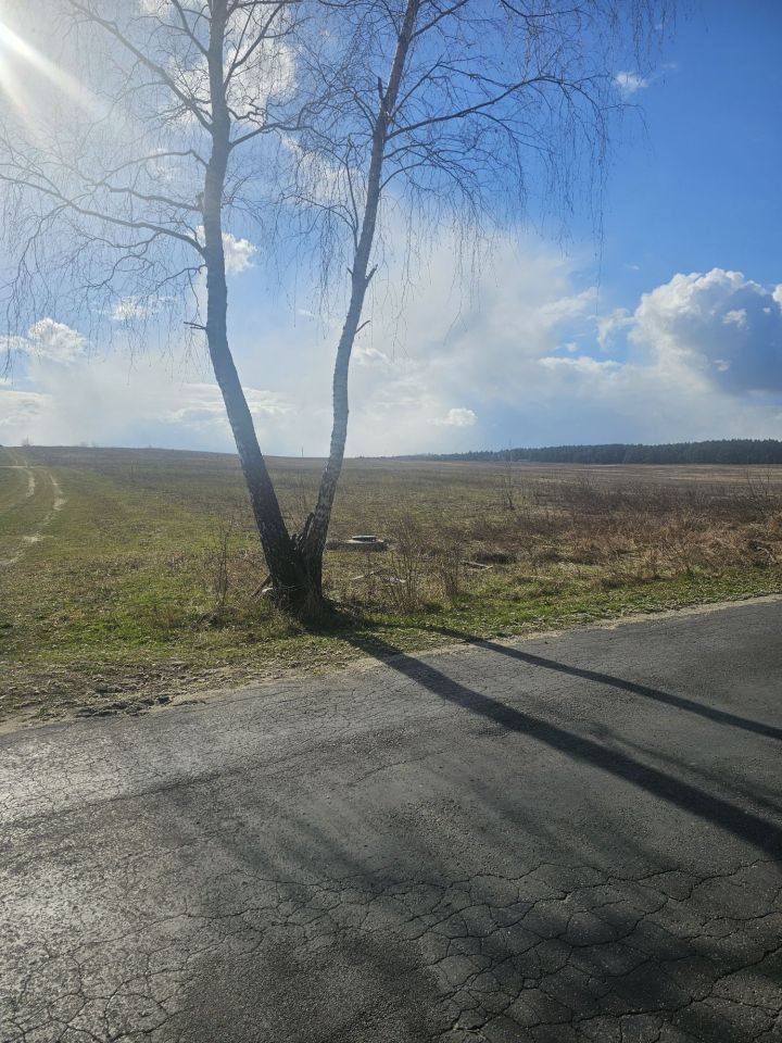 Działka budowlana Piaszczyce Marianka. Zdjęcie 5