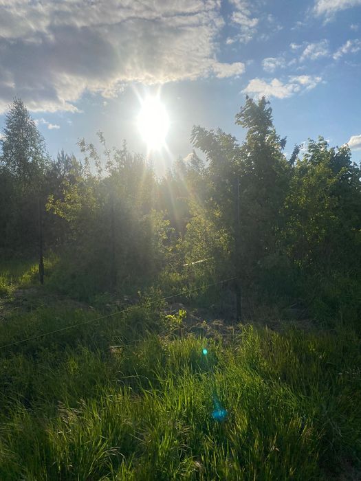 Działka budowlana Janczewo, ul. Okrężna. Zdjęcie 4