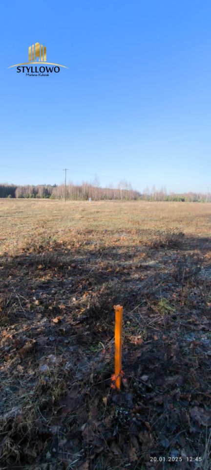 Działka budowlana Będźmierowice. Zdjęcie 3