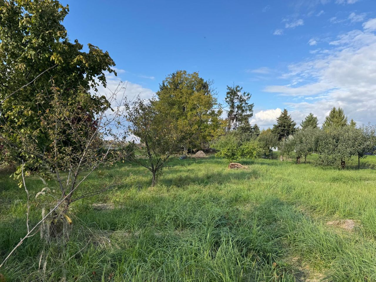 Działka budowlana Zamość Karolówka, ul. Braterstwa Broni. Zdjęcie 6